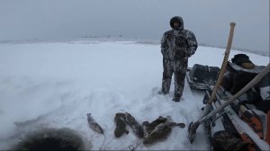 22. Рыбалка зимой на Севере. Енисей не подвёл. Есть налим. 05.12.2022