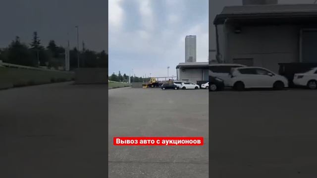 Доставка купленных пытлив порт отправки, аукционы Японии #японскоеавто #автоизяпонии #автоподзаказ смотреть онлайн