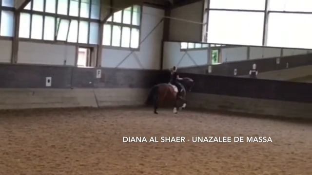 Palestinian GP Dressage Rider Diana Al Shaer