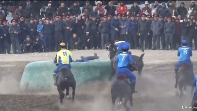 Мыкты улакчы 2023. Омурбек Эсен уулу #kokboru #games #kyrgyzstan #ахиллес #бойка #кокбору