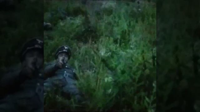 МБОУ СОШ №21 "День Неизвестного солдата" смотреть онлайн