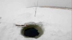 Рыбалка у чёрной дыры. Серия тридцать восемь.