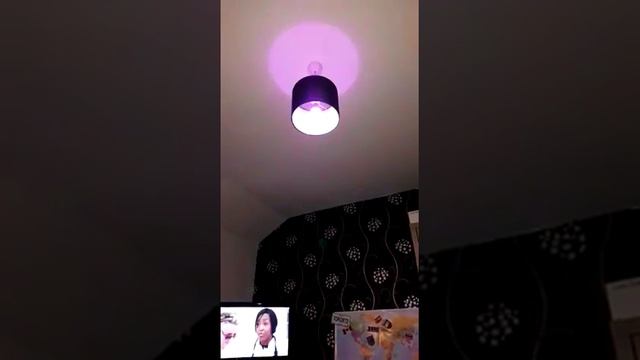 Xiaomi Yeelight AC220V RGBW E27 Smart LED Bulb from Gearbest смотреть онлайн