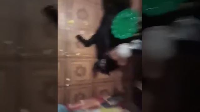 Собрались посвятить пасочку с яичками!!! смотреть онлайн