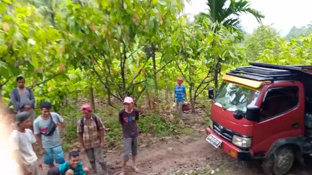 terjebak di jalan sawah kandang salayo смотреть онлайн