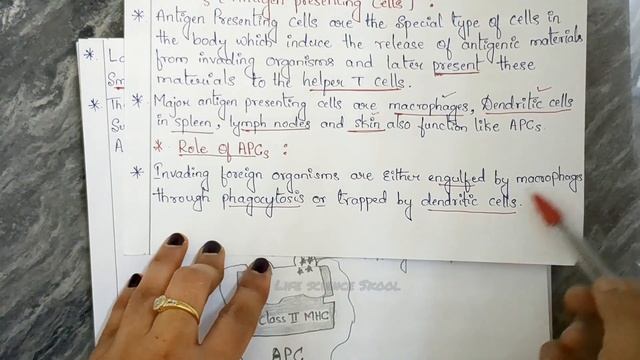 Cell Mediated Immunity/ Cellular Immunity