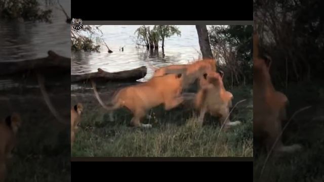 Он РВАНУЛ от них В ВОДУ