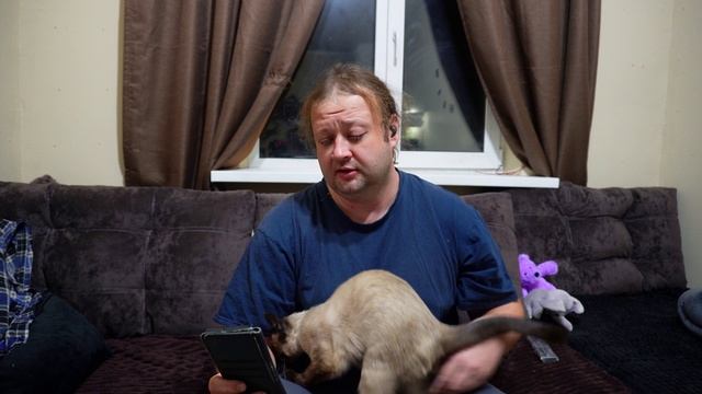 тапки и комментарии