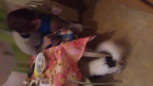 ты хочешь косточку???? смотреть онлайн