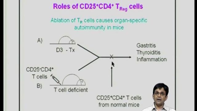 Mod-17 Lec-32 Autoimmunity смотреть онлайн