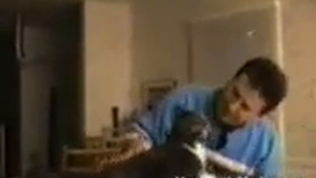 Кошки Рулят :) Смотреть всем!!!! смотреть онлайн