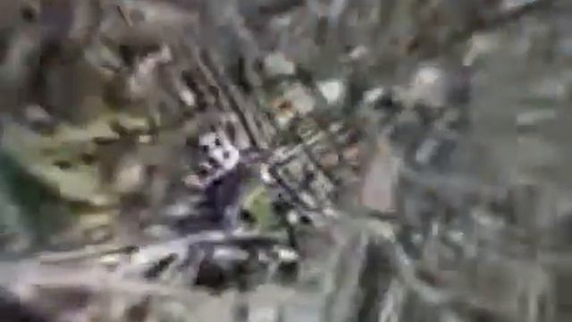 А вы уверены, что завтра будет лучше чем сегодня? смотреть онлайн