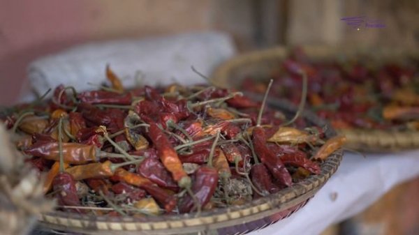 How we save seeds from extinction #SeedBank #SeedSaversNetwork