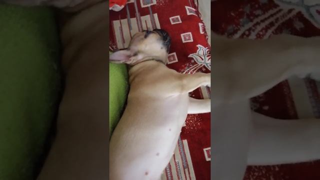 Нам снятся сладкие сны🤭🤗👶 смотреть онлайн