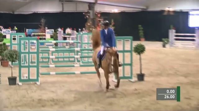 9yrs mare Donner by Deauville смотреть онлайн