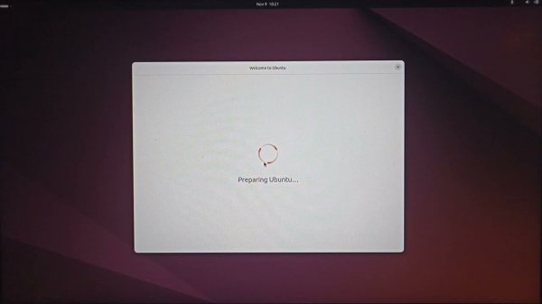 Установка Linux (Ubuntu 24) рядом с Windows 10