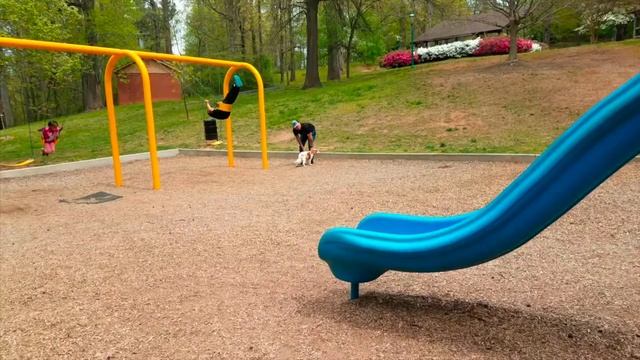 From Escape Artist To Little Einstein-Salem 3 YO King Charles Cavalier-Winston Salem Dog Trainers
