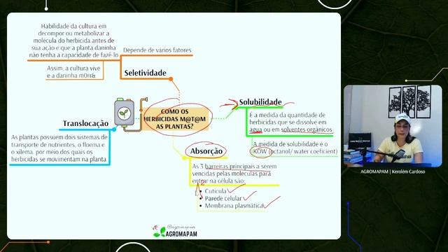 É dessa forma que os herbicidas afetam as plantas смотреть онлайн