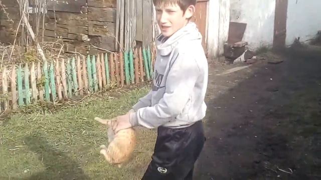 Смотреть всем!!Смешно!(Леший повелитель лесов)(Серия 3) смотреть онлайн