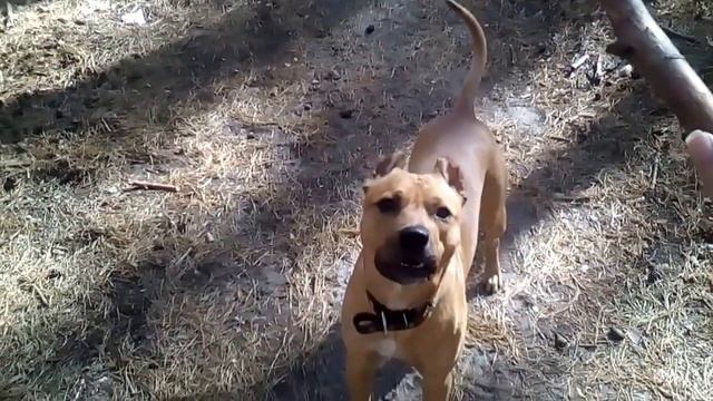 Моя прелесть (палочка) смотреть онлайн