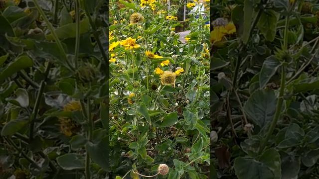 24 октября 2021 г.(2)