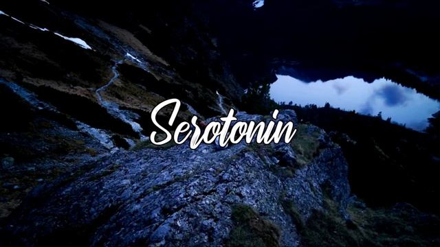 N Fact - Serotonin смотреть онлайн