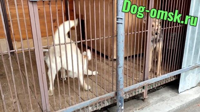 Надеемся на Вас смотреть онлайн