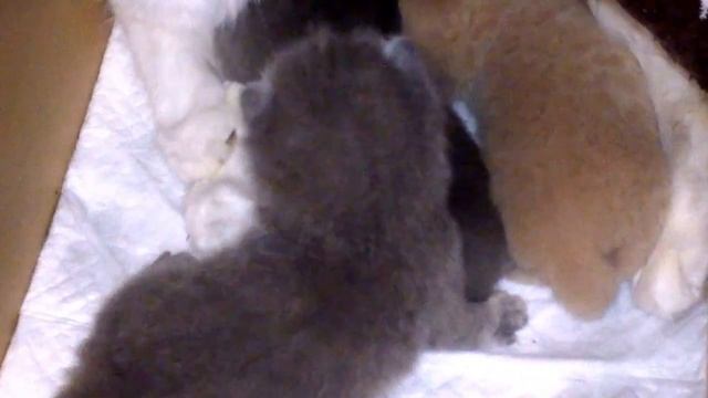 WP 20150912 001 смотреть онлайн