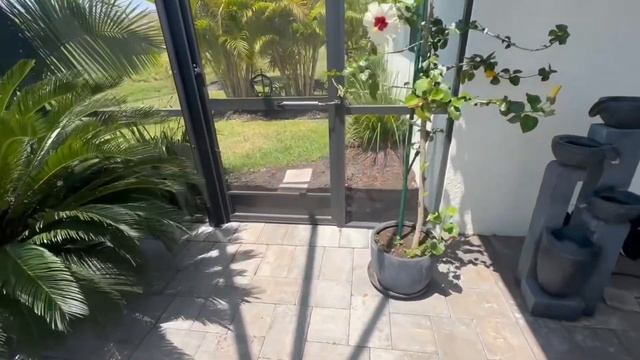 Жизнь Домохозяйки в Америке 💚 Уборка на Террасе 💚 Ужин и Прогулка 💚 цветы и сад смотреть онлайн