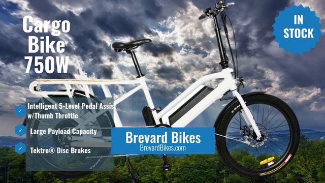 Long Trail Max Cargo Electric Bike by Eunorau смотреть онлайн