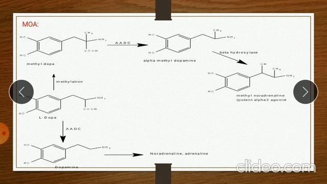 Anti Hypertensive Lecture 1