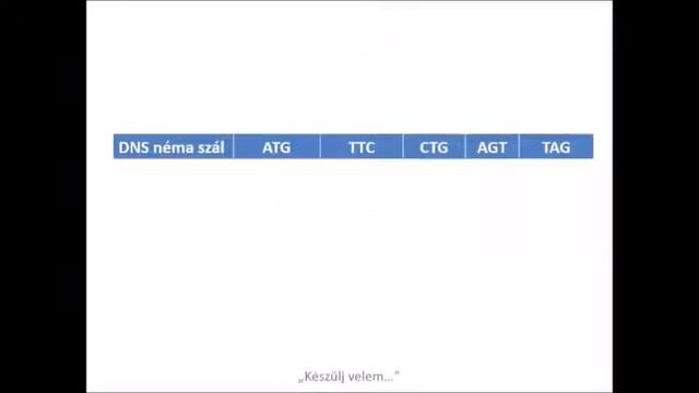 Genetika 5. Rész: Az Aminosavkódszótár Használata (feladattal)