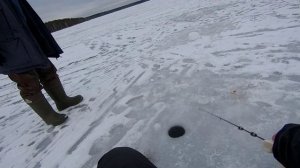 Насосная на Белоярском водохранилище. Показал удилку в деле.