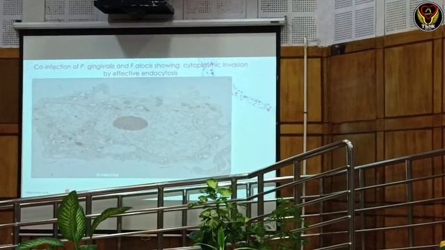 Microbiome against AMR  | Dr. A W Santhosh Kumar's Talk | International Conference AMRMIC 2022