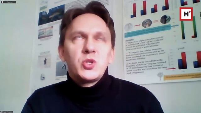 ПОЖИРАТЕЛИ ЛЕСОВ И КАК ИХ КОНТРОЛИРОВАТЬ. ИНТЕРВЬЮ С БИОЛОГОМ-ЭНТОМОЛОГОМ СЕРГЕЕМ ПАВЛУШИНЫМ