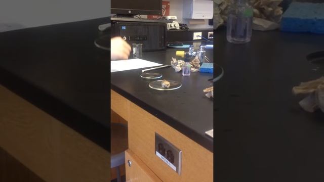 Exothermic Reaction Between Acetone and Potassium Permanganate смотреть онлайн