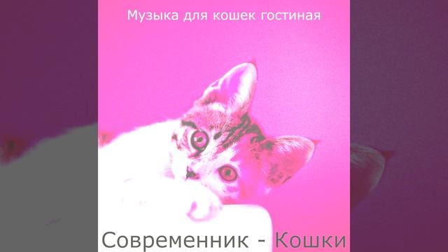 Музыка (Кошки) смотреть онлайн