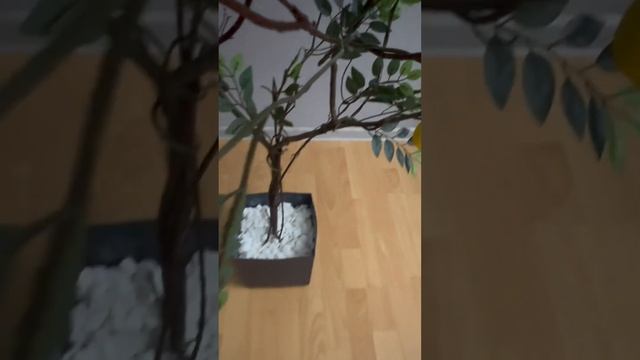 #лимон #вдохновение #посуточно смотреть онлайн