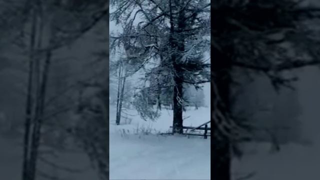 Белый блюз. Дмитрий Шлапак смотреть онлайн