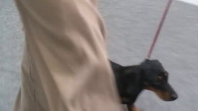 УФ УСЛАДА МОЕЙ ДУШИ смотреть онлайн