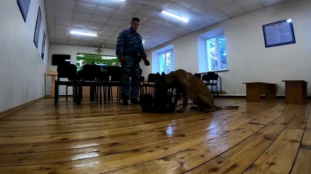 Поиск на багаже. смотреть онлайн