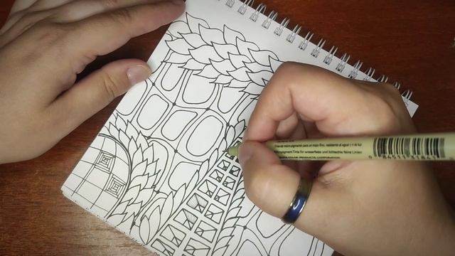 ЗенАрт Вьюнок и камни смотреть онлайн