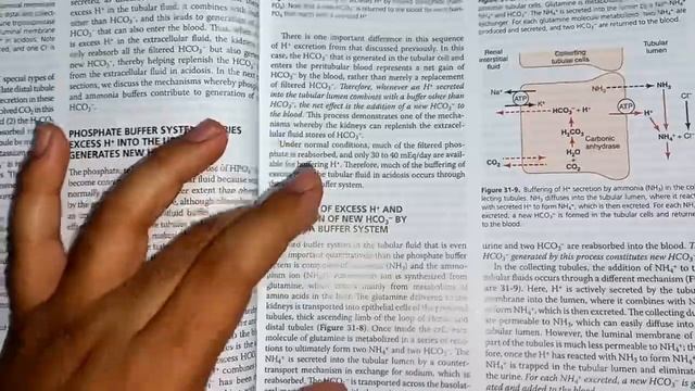 Guyton Ch 31 Review.