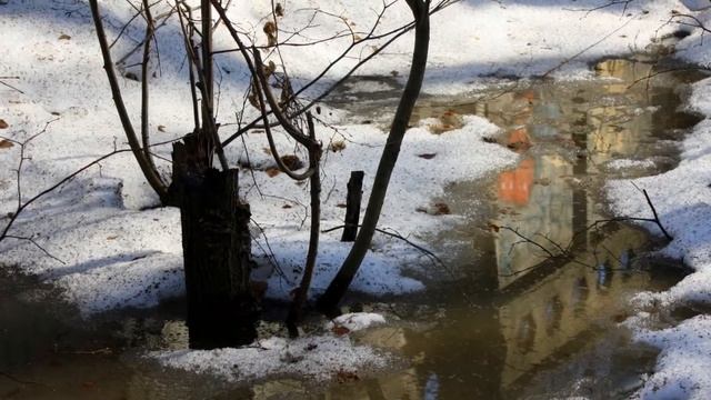 лужи... смотреть онлайн
