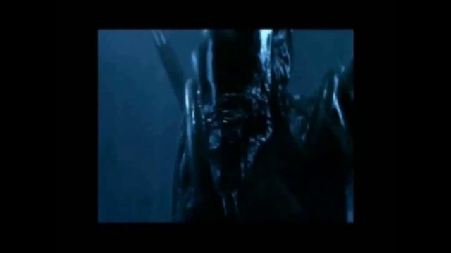 Argon Prime Ultimate Music Video смотреть онлайн