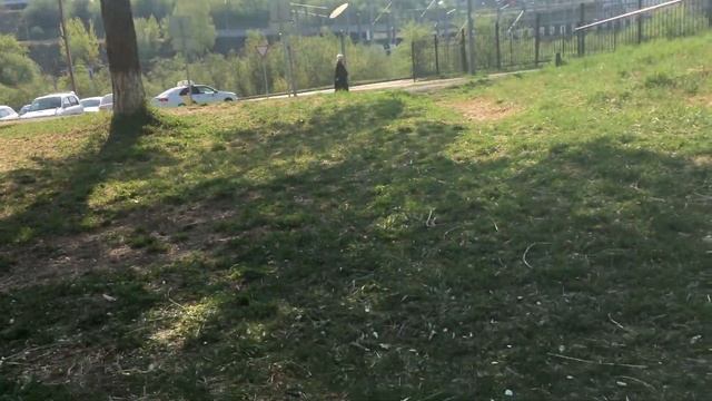 Ляля собрала все запахи.