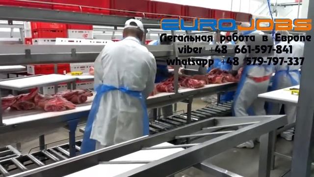 Отзыв о работе в Польше на мясокомбинате EuroJobs смотреть онлайн