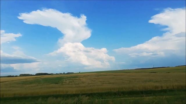 - Ничего себе, вашу маму и там, и тут передают. - Какую маму? - Мардж Симпсон. смотреть онлайн