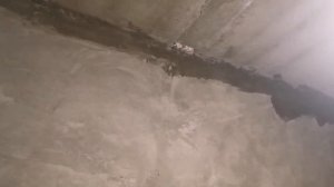 Грунтовка стен в ванной комнате клеем ПВА