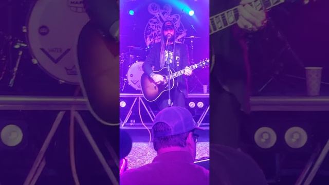 Josh Morningstar Damn These Birds смотреть онлайн